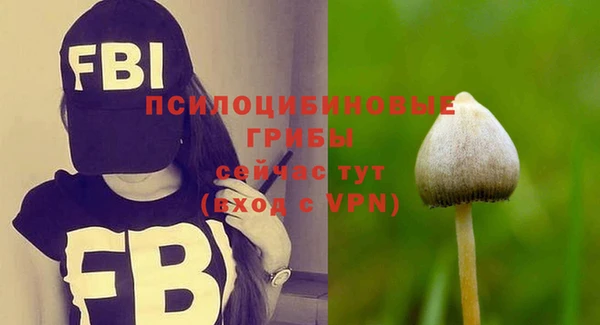 прущая мука Богданович