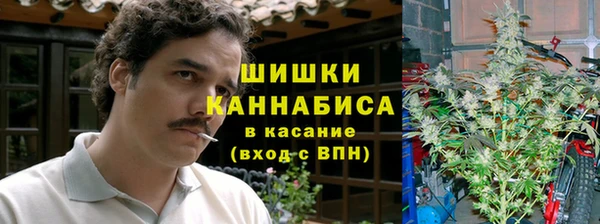 прущая мука Богданович