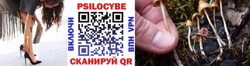 купить   Короча  Галлюциногенные грибы ЛСД 